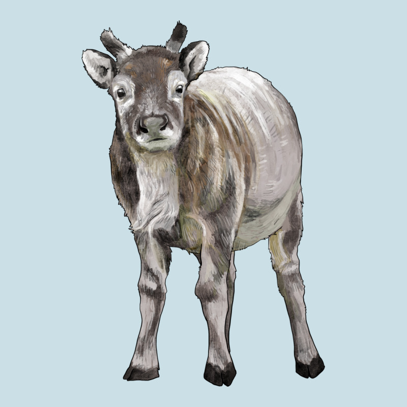 Reindeer Fawn Deer Ladies Tee by LillyAllenDesigns | Teevron