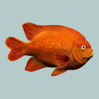 California Garibaldi Fish Heavy Core Tee | Teevron