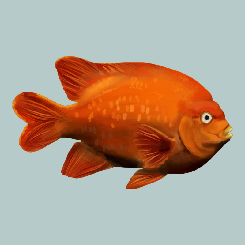 California Garibaldi Fish Heavy Core Tee by RanaPortraitStore | Teevron