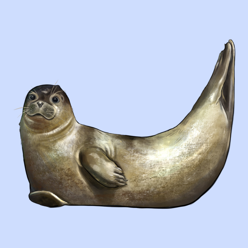 Sea Seal Urban Heavy Tee by LillyAllenDesigns | Teevron