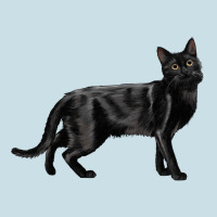 Bombay Cat Ladies Tee | Teevron
