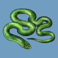 Boomslang Snake Urban Heavy Tee | Teevron