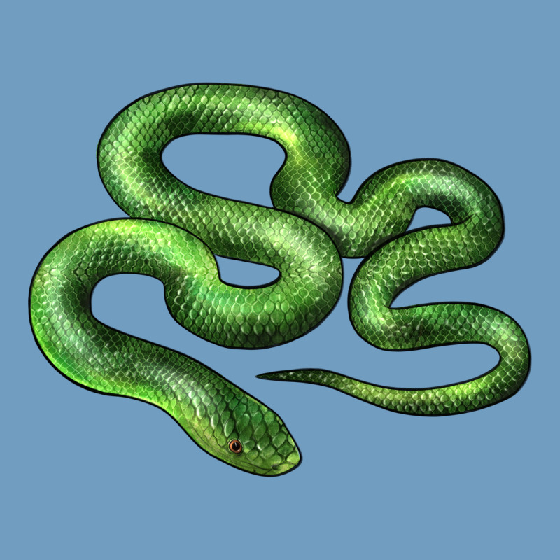 Boomslang Snake Urban Heavy Tee by LillyAllenDesigns | Teevron