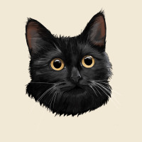 Bombay Cat Face Ladies Tee | Teevron