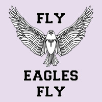 Fly Eagles Fly Philadelphia Premium Hoodie | Teevron