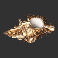 Murex Snail Urban Heavy Tee | Teevron