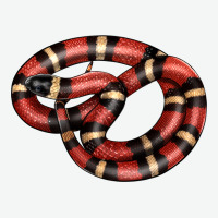 Milk Snake Urban Heavy Tee | Teevron