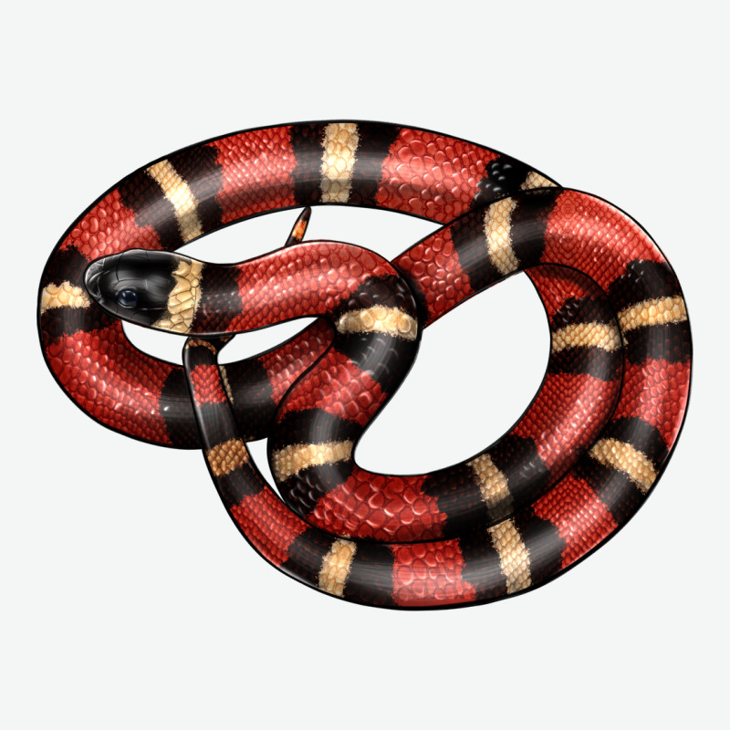 Milk Snake Urban Heavy Tee by LillyAllenDesigns | Teevron