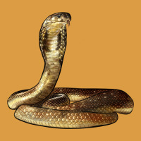 King Cobra Snake Urban Heavy Tee | Teevron
