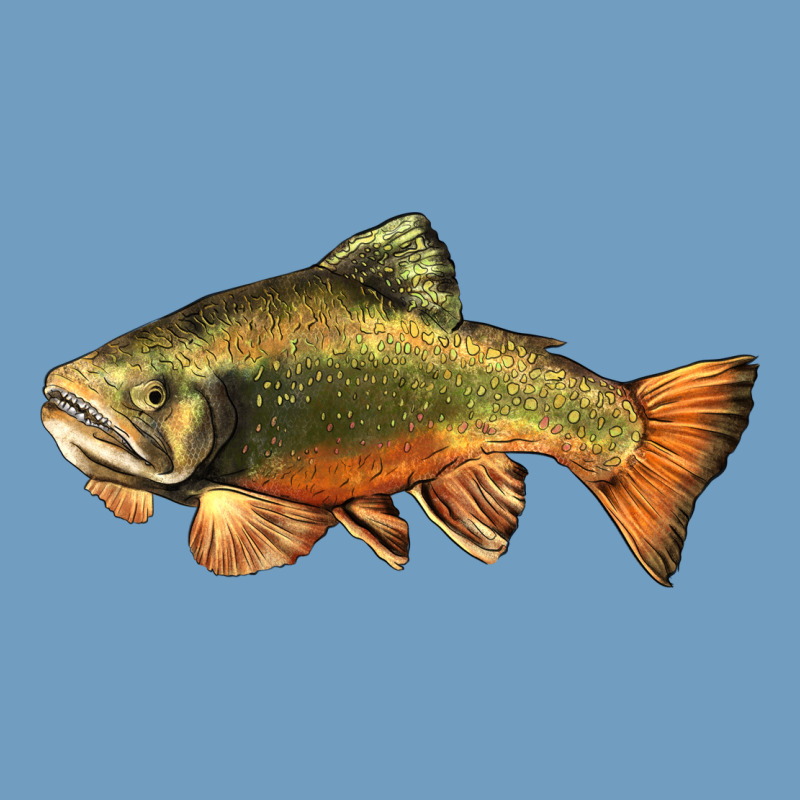 Leaping Brook Trout Urban Heavy Tee by LillyAllenDesigns | Teevron