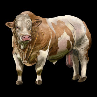 Simmental Bull Ladies Tee | Teevron
