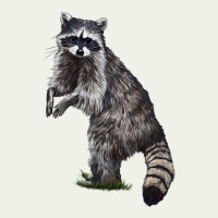 Raccoon Illustrations Urban Heavy Tee | Teevron