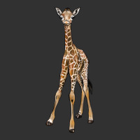Baby Giraffe Urban Heavy Tee | Teevron