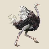 Ostrich Urban Heavy Tee | Teevron