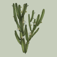 Cereus Jamacaru Ladies Tee | Teevron