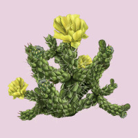 Whipple Cholla Cactus Ladies Tee | Teevron