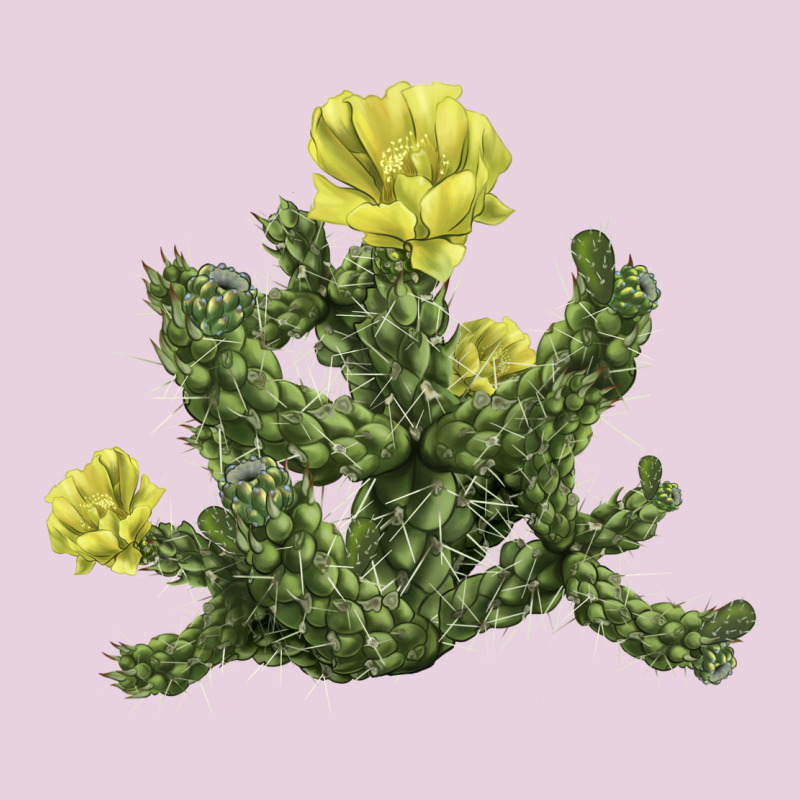 Whipple Cholla Cactus Ladies Tee by LillyAllenDesigns | Teevron