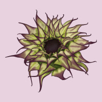 Sun   Fill Purple Sunflower Ladies Tee | Teevron