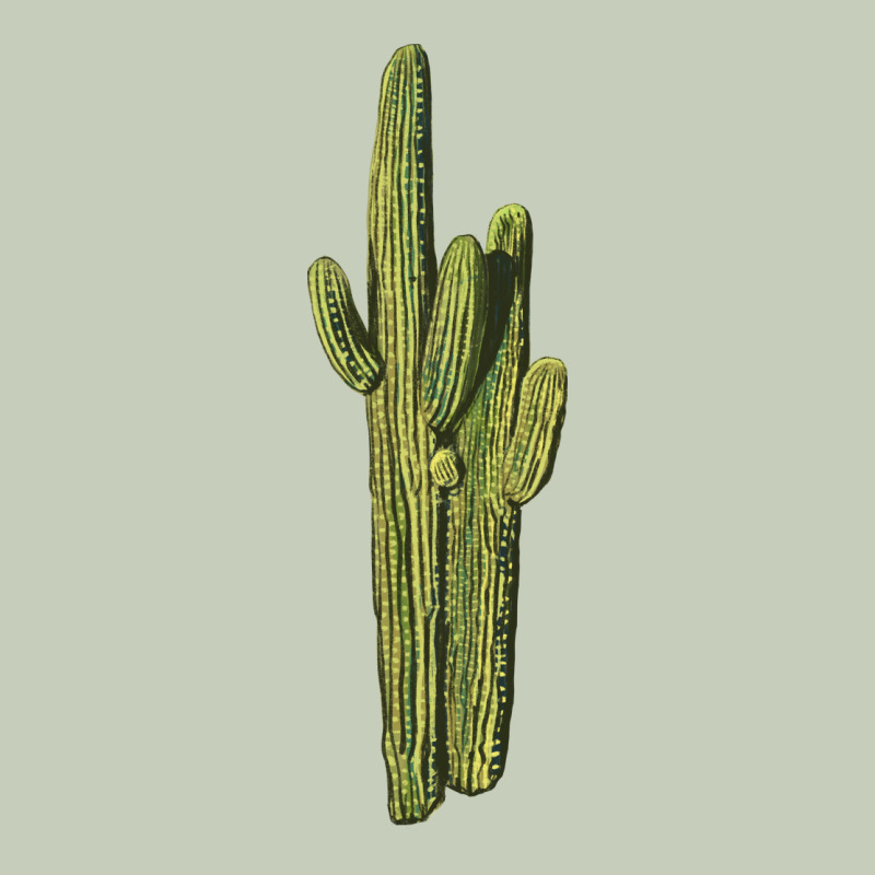 Saguaro Cactus Ladies Tee by LillyAllenDesigns | Teevron