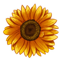 Soraya Sunflower Ladies Tee | Teevron