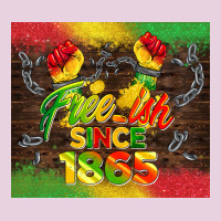 Free Ish Since 1865 Classic Tee | Teevron