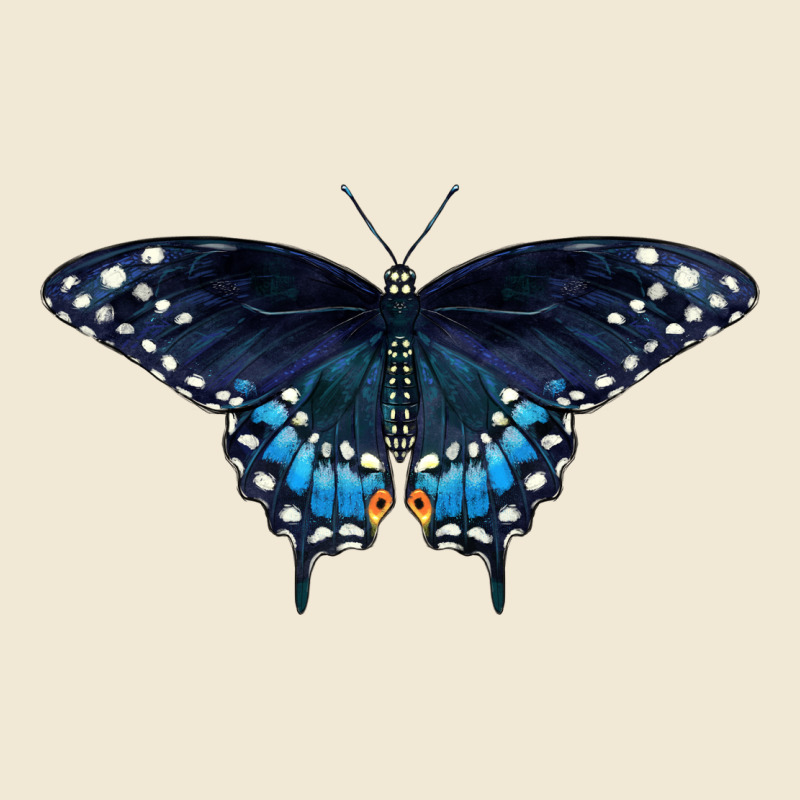 Black Swallowtail Butterfly Ladies Tee by LillyAllenDesigns | Teevron