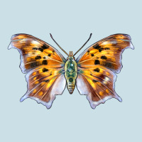 Question Mark Butterfly Ladies Tee | Teevron