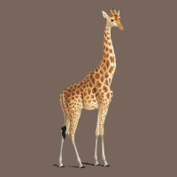 Giraffe Premium Hoodie | Teevron
