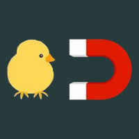 Chick Magnet Premium Hoodie | Teevron