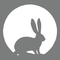 Bunny And Full Moon Funny Premium Hoodie | Teevron