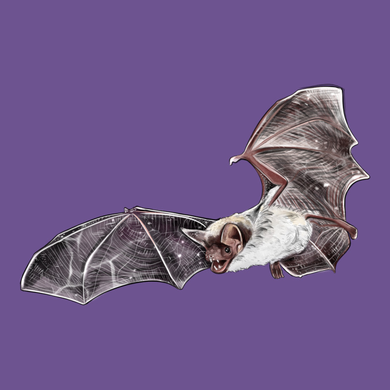 Mexican Free Tailed Bat Vintage Tee by LillyAllenDesigns | Teevron