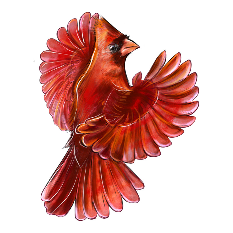Flying Northern Cardinal Bird Ladies Tee by LillyAllenDesigns | Teevron