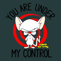 Pinky And The Brain You Are Under My Control Premium Hoodie | Teevron