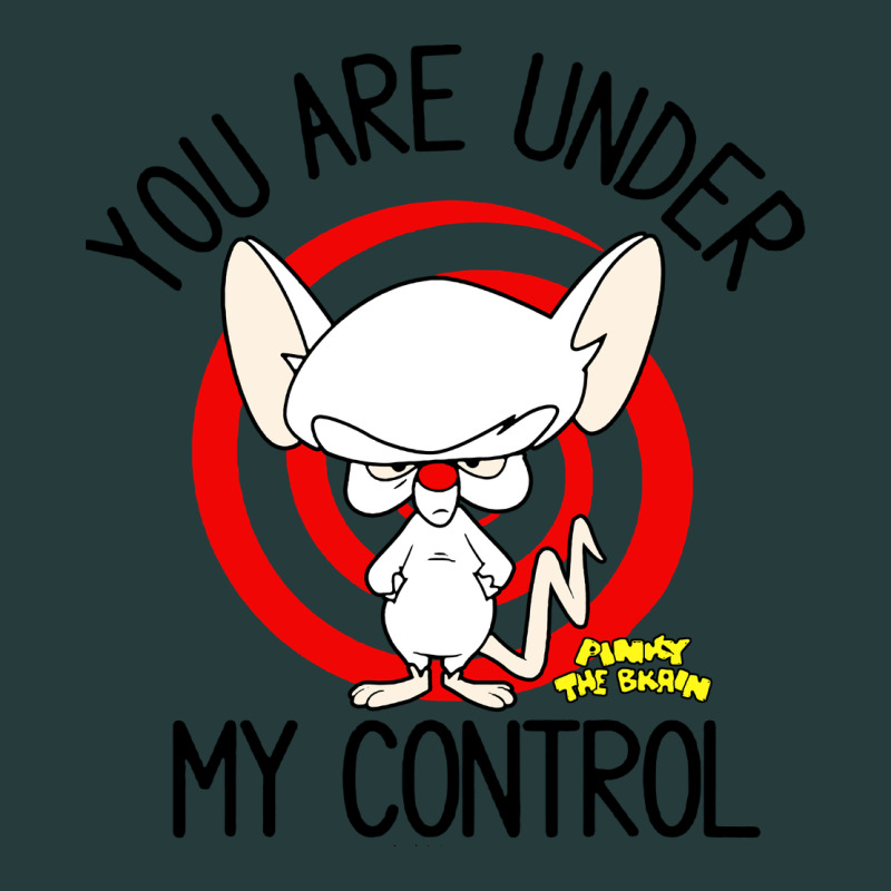 Pinky And The Brain You Are Under My Control Premium Hoodie by artisFamous | Teevron