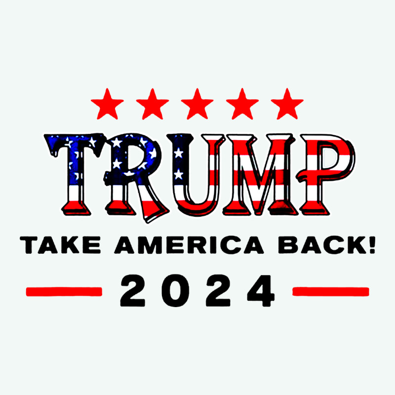 Donald Trump 2024 Take America Back Election Premium Hoodie by artisFamous | Teevron