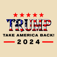 Donald Trump 2024 Take America Back Election Premium Hoodie | Teevron