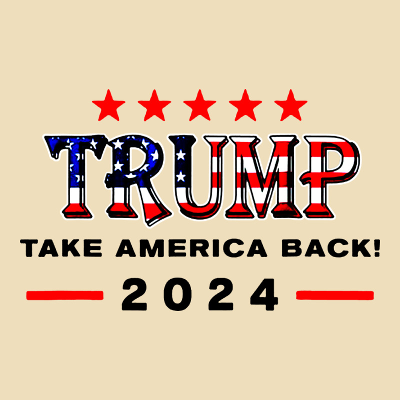 Donald Trump 2024 Take America Back Election Premium Hoodie by artisFamous | Teevron