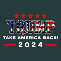 Donald Trump 2024 Take America Back Election Premium Hoodie | Teevron
