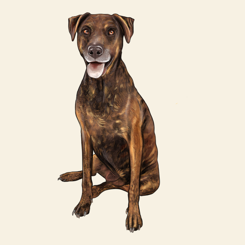 Plott Hound Vintage Tee by LillyAllenDesigns | Teevron