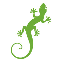 gecko reptile | Teevron