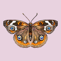 Common Buckeye Butterfly Ladies Tee | Teevron