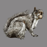 Gray Squirrel Vintage Tee | Teevron