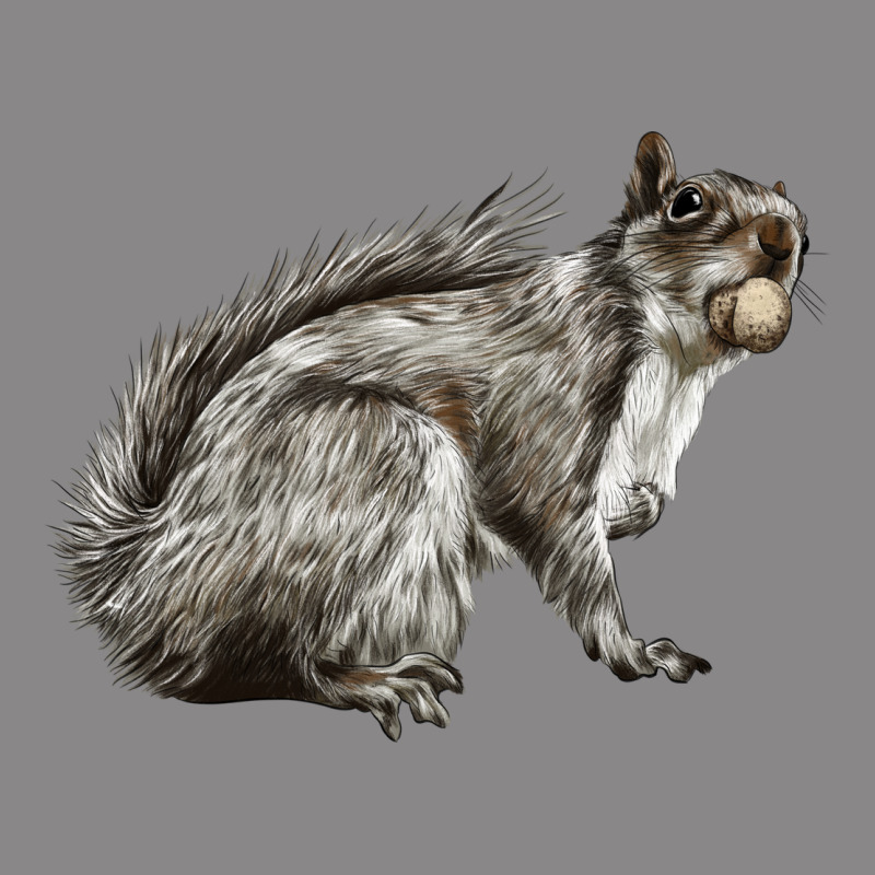 Gray Squirrel Vintage Tee by LillyAllenDesigns | Teevron
