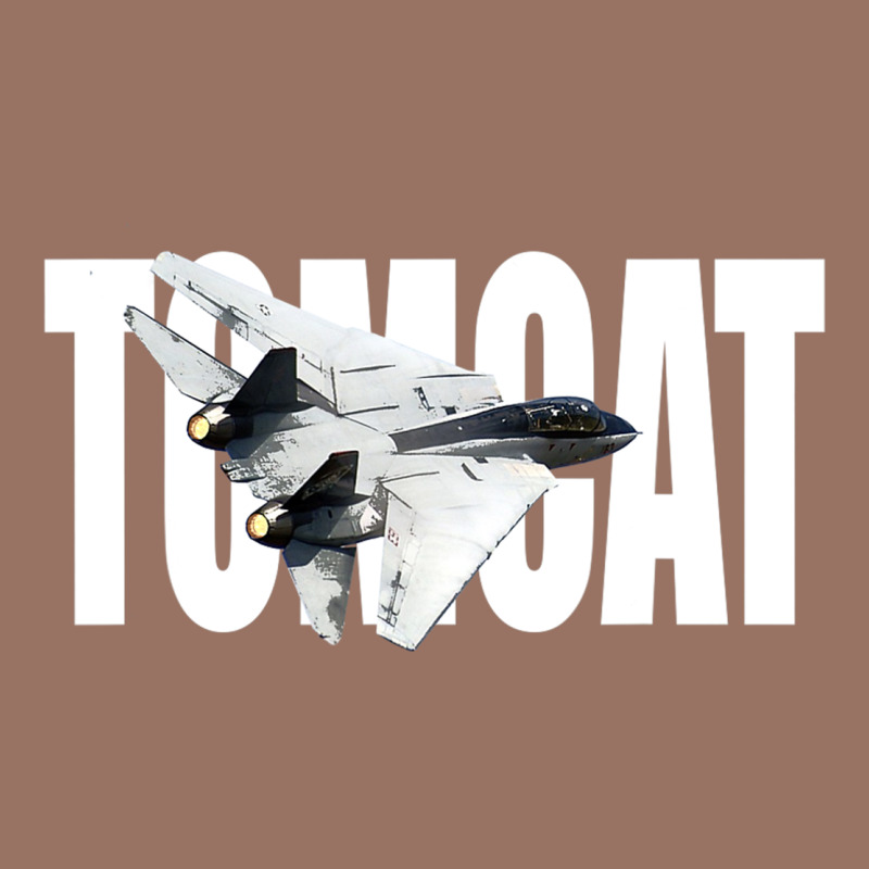 F 14 Tomcat F14 Navy Jet Fighter Plane Tshirt Pilot T Shirt Premium Hoodie by artisFamous | Teevron