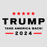 Donald Trump 2024 Take America Premium Hoodie | Teevron