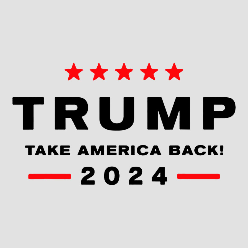 Donald Trump 2024 Take America Premium Hoodie by artisFamous | Teevron