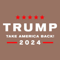 Donald Trump 2024 Take America Premium Hoodie | Teevron