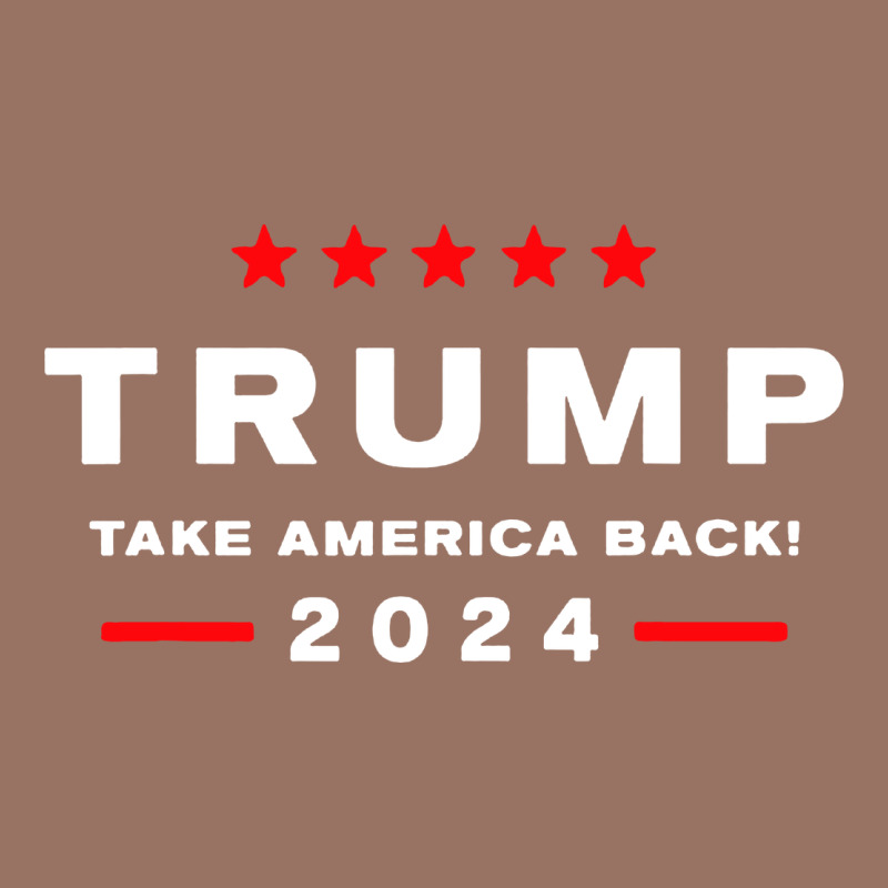 Donald Trump 2024 Take America Premium Hoodie by artisFamous | Teevron