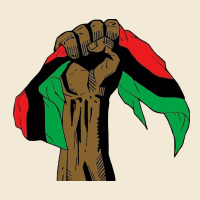 Black Power African License Premium Hoodie | Teevron
