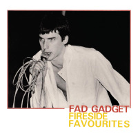 Fad Gadget Fireside Favourites | Teevron